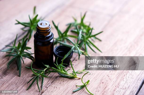 rosemary essential oil and fresh twig on wooden table - aromatherapy oil stock pictures, royalty-free photos & images