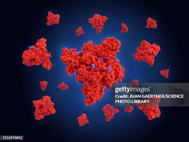 stabilised covid-19 coronavirus spike proteins, illustration - spike protein stock illustrations