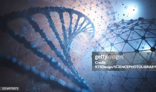 genetic engineering, conceptual illustration - biotechnology stock-grafiken, -clipart, -cartoons und -symbole