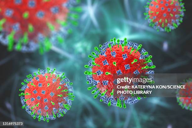 hendra virus, illustration - virus organism stock illustrations