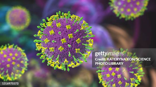 nipah virus particles, illustration - respiratory disease stock illustrations