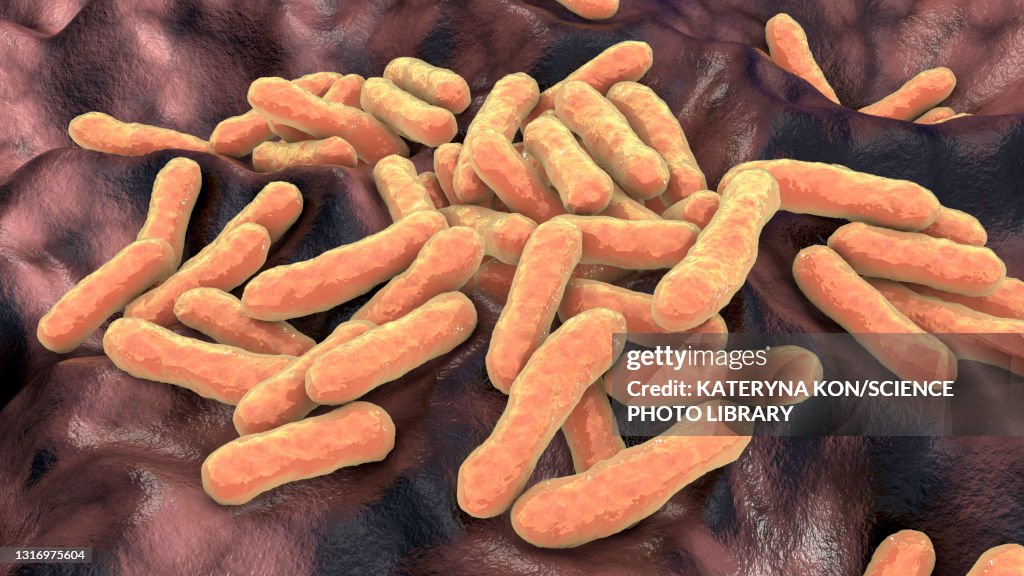 Cutibacterium acnes bacteria, illustration