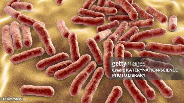 cutibacterium acnes bacteria, illustration - bacillus subtilis stock illustrations