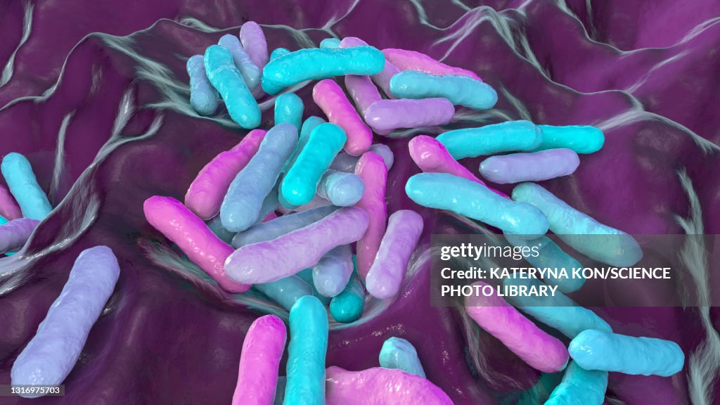 Cutibacterium acnes bacteria, illustration