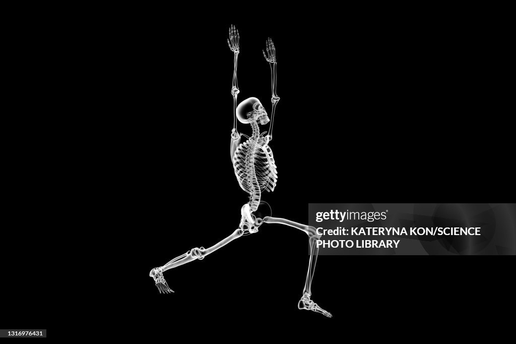 Skeleton in warrior 1 yoga pose, illustration