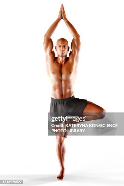 man in tree yoga pose, illustration - anatomical model stock illustrations