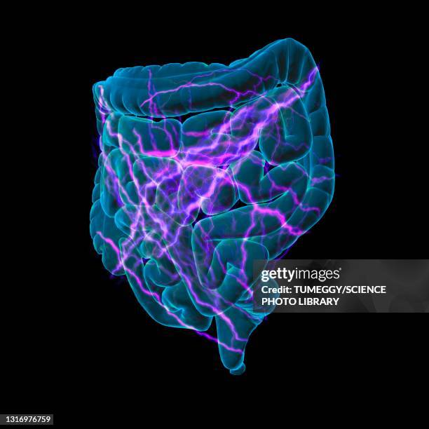 intestinal pain, conceptual illustration - oxytocin dopamine stock illustrations