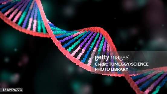 DNA molecule, illustration DNA molecule, illustration