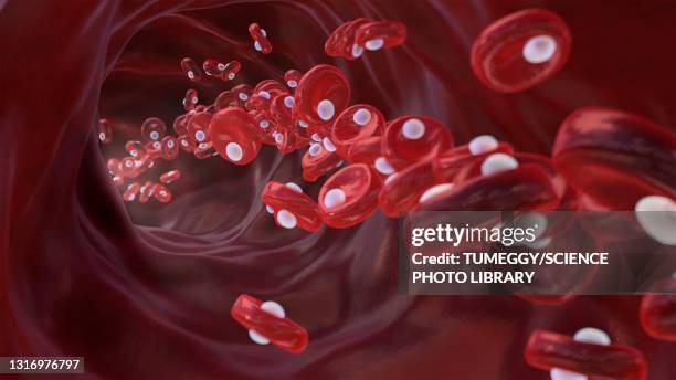 red blood cells with oxygen, conceptual illustration - cell and body stock-grafiken, -clipart, -cartoons und -symbole