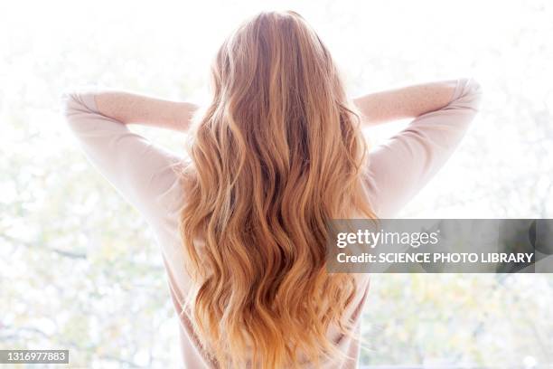 woman with long hair - hair healthy stockfoto's en -beelden