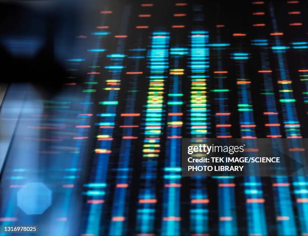 dna research - recherche génétique photos et images de collection