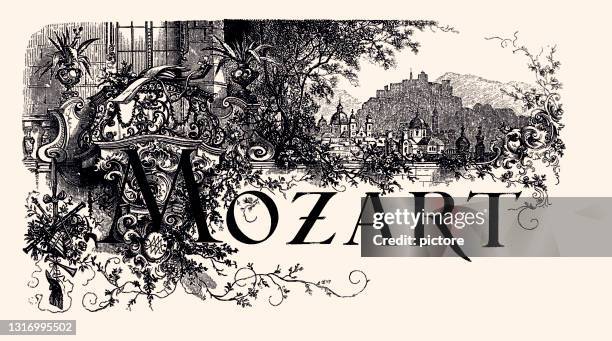 stockillustraties, clipart, cartoons en iconen met mozart (xxxl met veel details) - amadeus