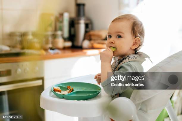 かわいい女の赤ちゃんはハイチェアで食事を食べる - toddler ストックフォトと画像