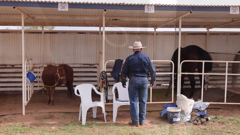 Cobar Races 23 The Copper Horse Stock Videos, Footage, & 4K Video Clips - Getty Images