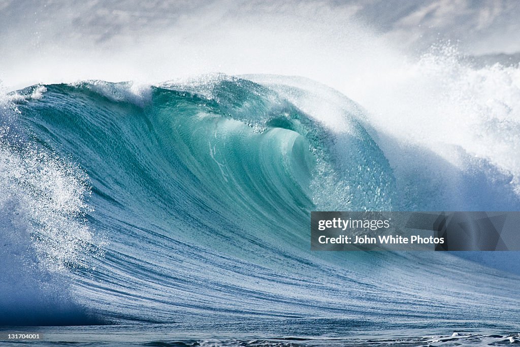 Wave in Pristine ocean