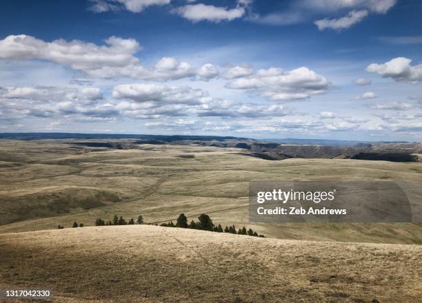 Oregon Prairie Zumwalt Prairie Photos and Premium High Res Pictures - Getty Images