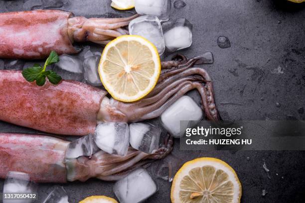 fresh squids octopus or cuttlefish, seafood - kalamar stock-fotos und bilder