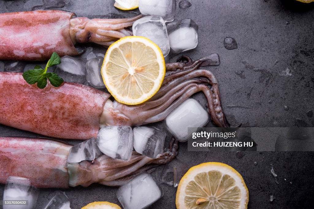 Fresh squids octopus or cuttlefish, seafood