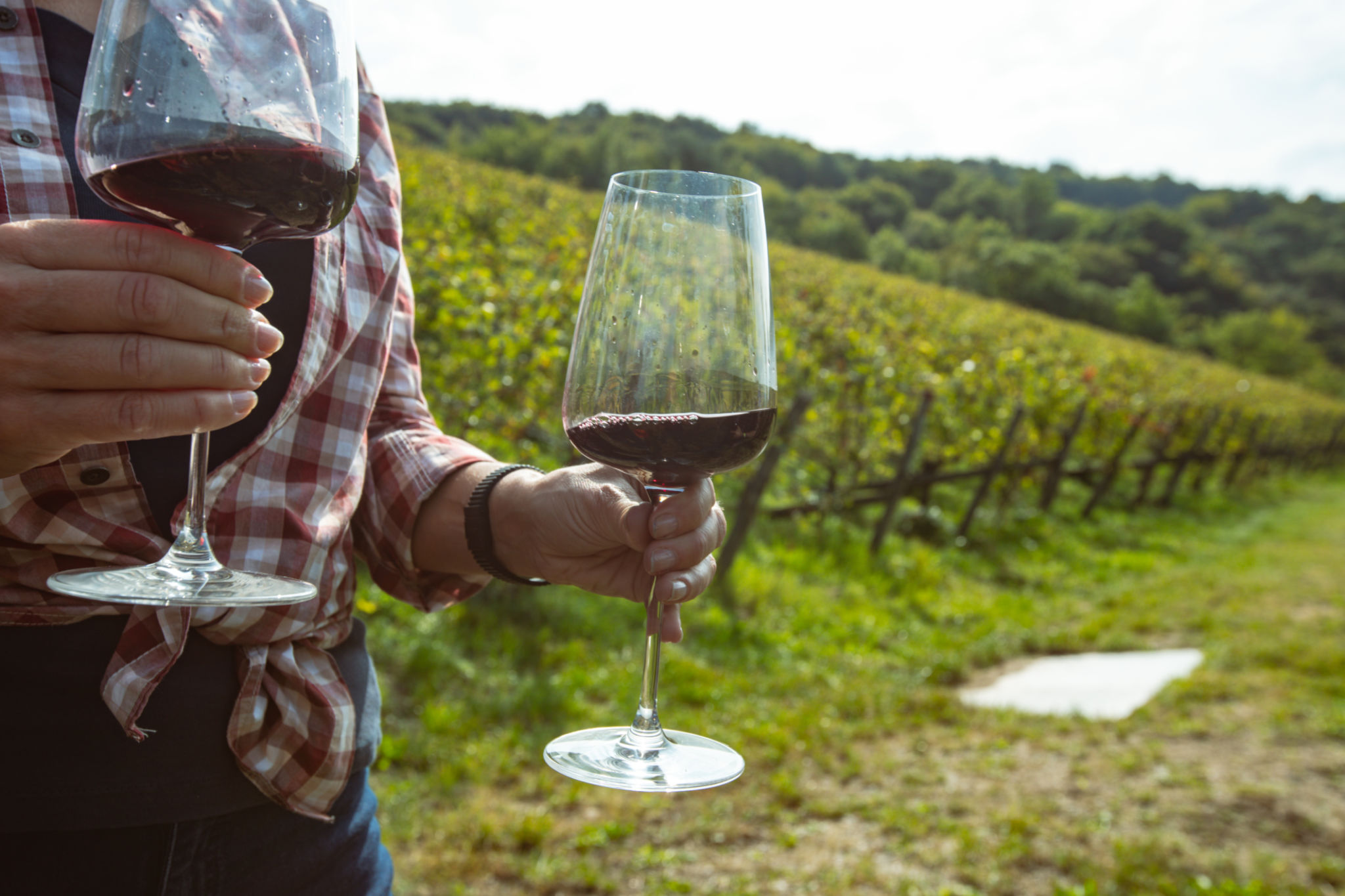 Bulgarian wine tour