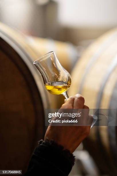 wine tasting in a italian winery after grape harvesting: drinking grappa - grappa stock pictures, royalty-free photos & images