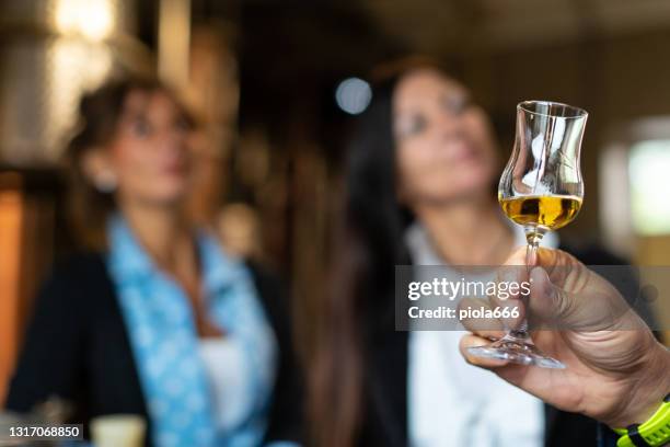 wijnproeverij in een italiaanse wijnmakerij na het oogsten van druiven: grappa drinken - grappa stockfoto's en -beelden