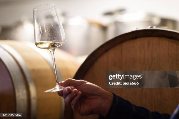 wijnproeverij in een italiaanse wijnmakerij na het oogsten van druiven - sommelier stockfoto's en -beelden