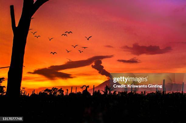 mount sinabung in silhouette - mount sinabung stockfoto's en -beelden