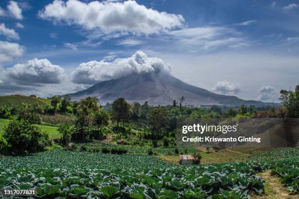 impact of sinabung volcano activity - mount sinabung stockfoto's en -beelden