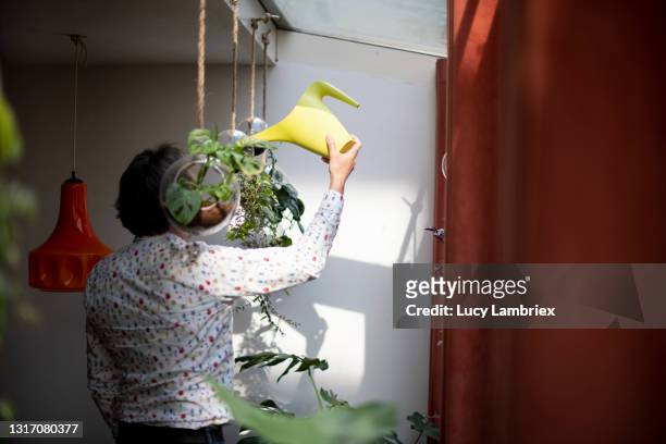 man watering hanging plants at home - hanging basket stock pictures, royalty-free photos & images
