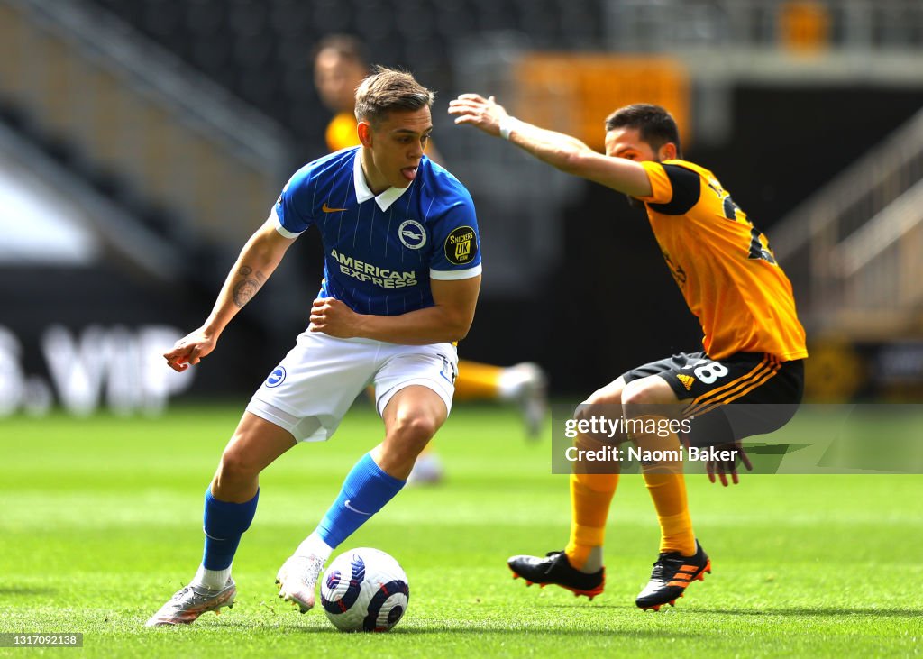 Wolverhampton Wanderers v Brighton & Hove Albion - Premier League