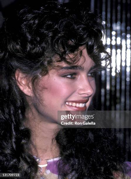 Actress Brooke Shields attends the Press Party to Announce Brooke Shields at the Newest Spokesperson for Wella Corporation on May 6, 1981 at Regine's...