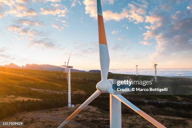 wind turbines at sunset, madera island. - aeolian process stock pictures, royalty-free photos & images