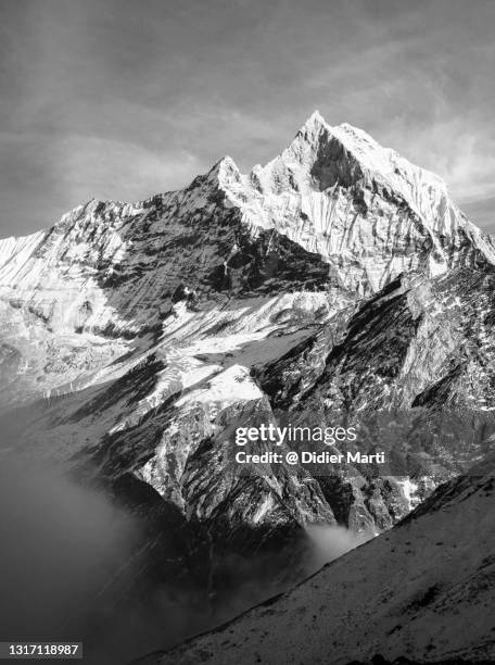 machhapuchhre peak in the himalaya in nepal - machapuchare stock pictures, royalty-free photos & images