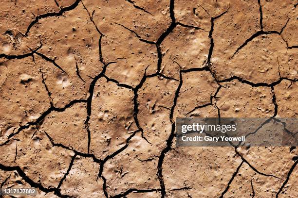 close up of cracked mudflat - force of nature stock pictures, royalty-free photos & images