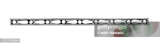 vintage page ornament - 19th century style stock illustrations