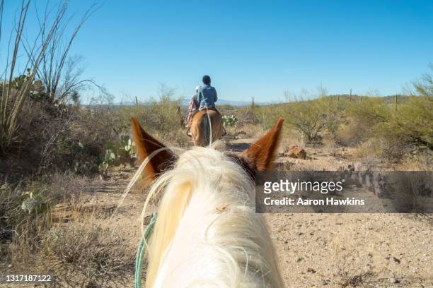 horse viewpoint rear view of a woman on a horseback ride in the arizona desert - horseback riding arizona stock pictures, royalty-free photos & images