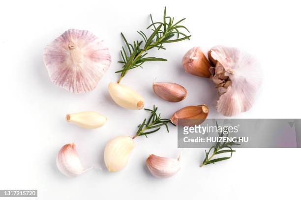 garlic and rosemary isolated on white background - garlic foto e immagini stock