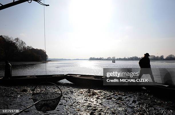 Czech fisherman walks by boats on November 7 during the annual carp fishing season at the Bosilecky pond beside the Bosilec village, near Trebon...