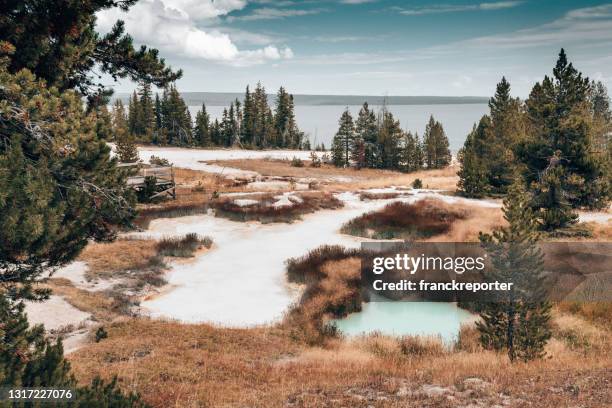 yellowstone national park - grand prismatic spring stock pictures, royalty-free photos & images