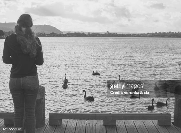 teenage girl looking at a lake with swans - diferente stockfoto's en -beelden