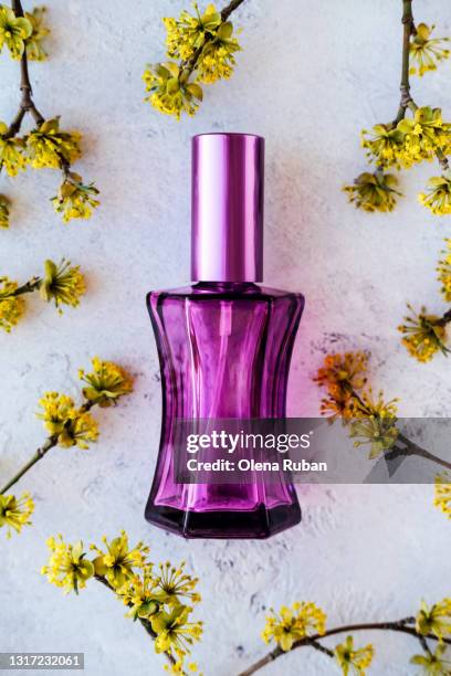 purple jar of perfume in a transparent jar and yellow flowers on the branch - perfume sprayer stock-fotos und bilder