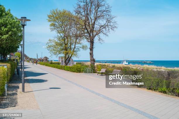 usedom island mecklenburg western pomerania in summer - baltic sea fish stock pictures, royalty-free photos & images