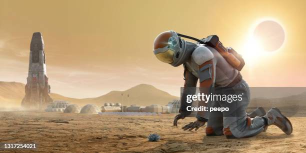 astronaut on mars kneeling and staring down at a plant growing in rocky dusty ground with spaceship and base camp in background - space man on mars imagens e fotografias de stock