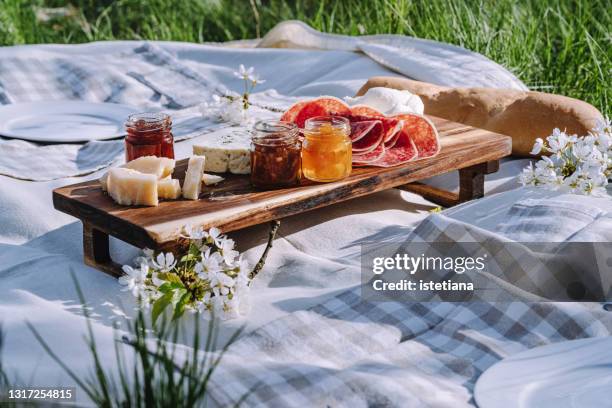 romantic spring picnic. snack platter on linen picnic blanket - spread food fotografías e imágenes de stock