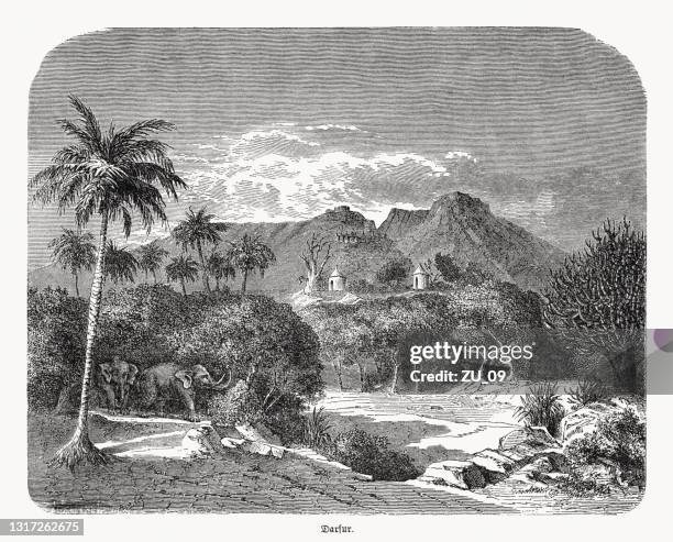 a village in darfur (western sudan), wood engraving, published 1868 - african village stock illustrations