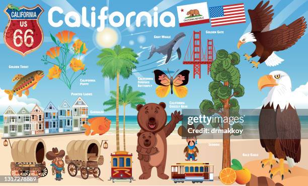 ilustraciones, imágenes clip art, dibujos animados e iconos de stock de cartel de california - bandera de california