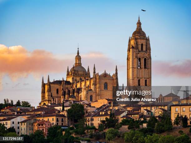 catedral de segovia al amanecer - segovia cathedral at sunrise - koninklijk paleis van sevilla stockfoto's en -beelden