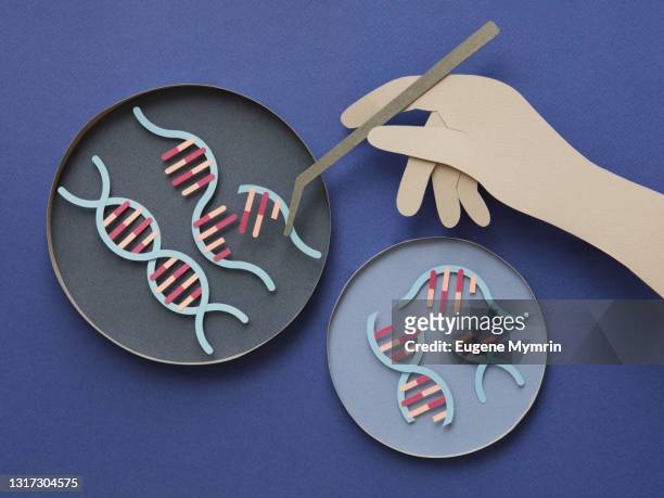 genetic testing & genome sequencing - medical research paper stock pictures, royalty-free photos & images