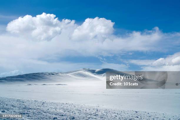 曇りの日の雪山 - polar climate ストックフォトと画像