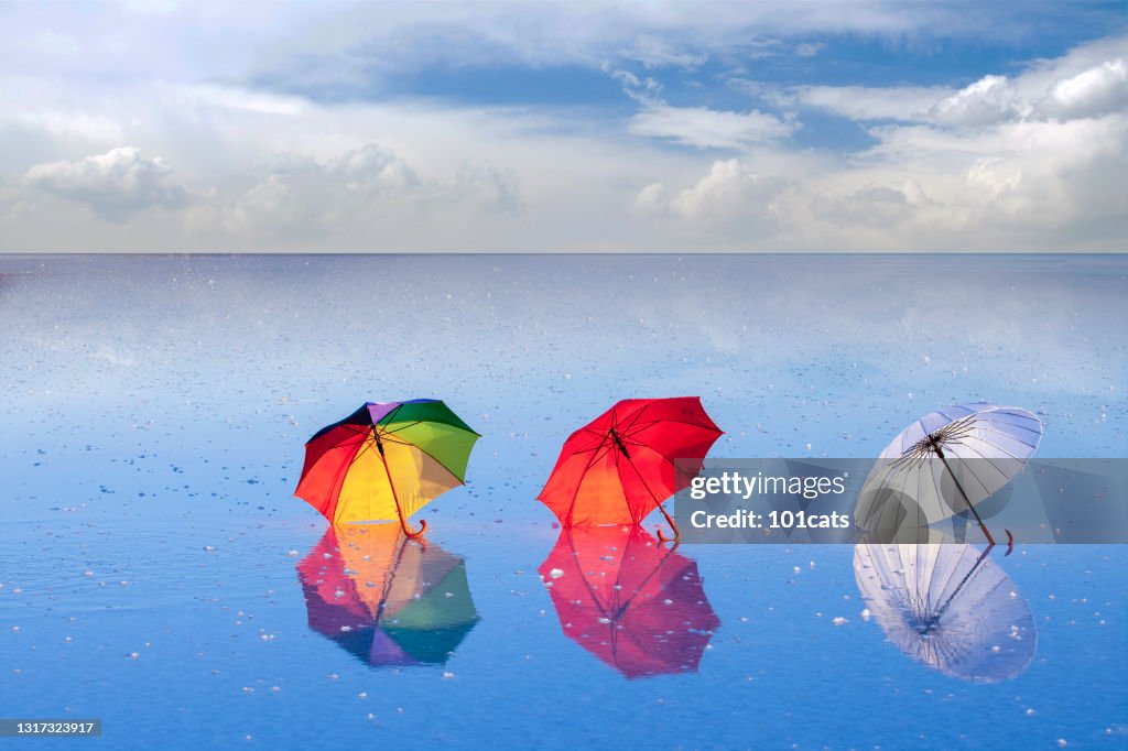Sombrillas de colores en el agua.